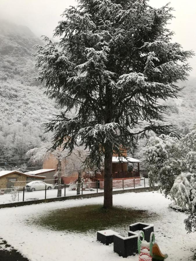 Appartement A Tarascon Sur Ariege Le Sabart Eksteriør bilde