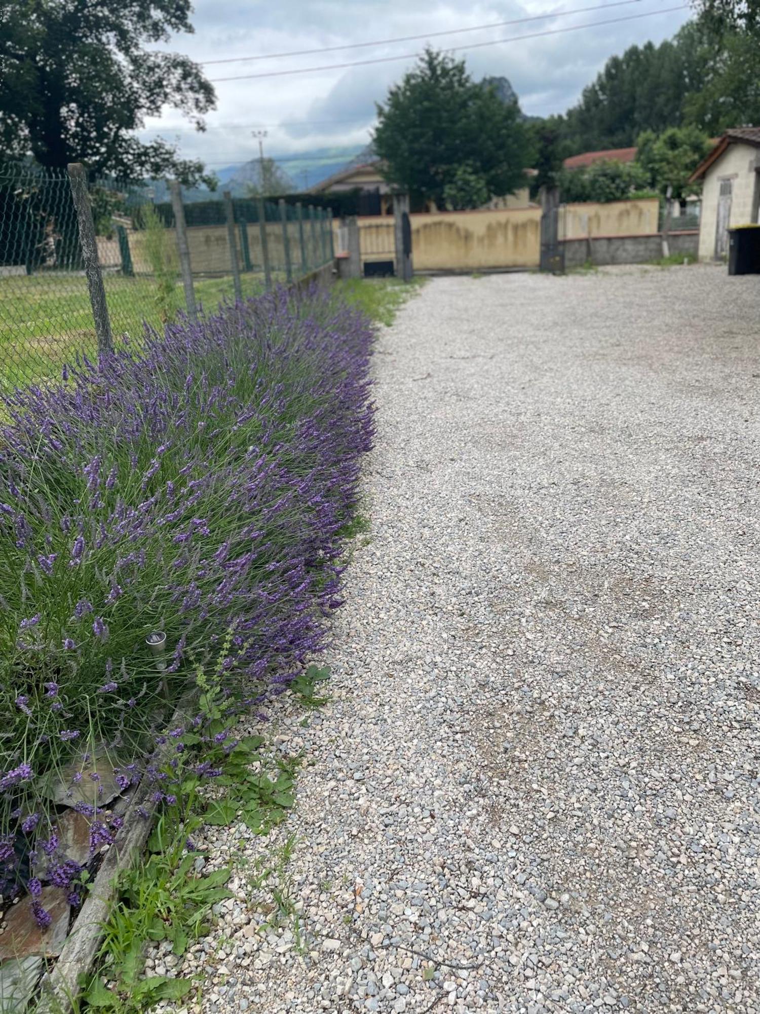 Appartement A Tarascon Sur Ariege Le Sabart Eksteriør bilde